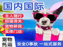 桂林两江机场邮寄国际宠物托运 【国